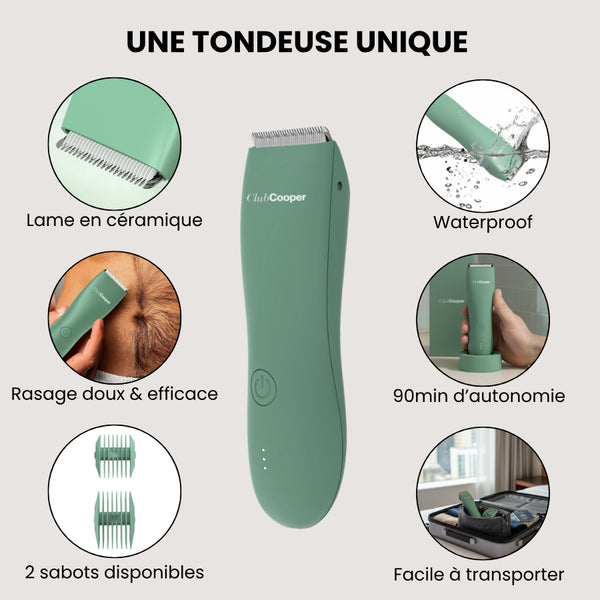 éléments distinctifs tondeuse verte